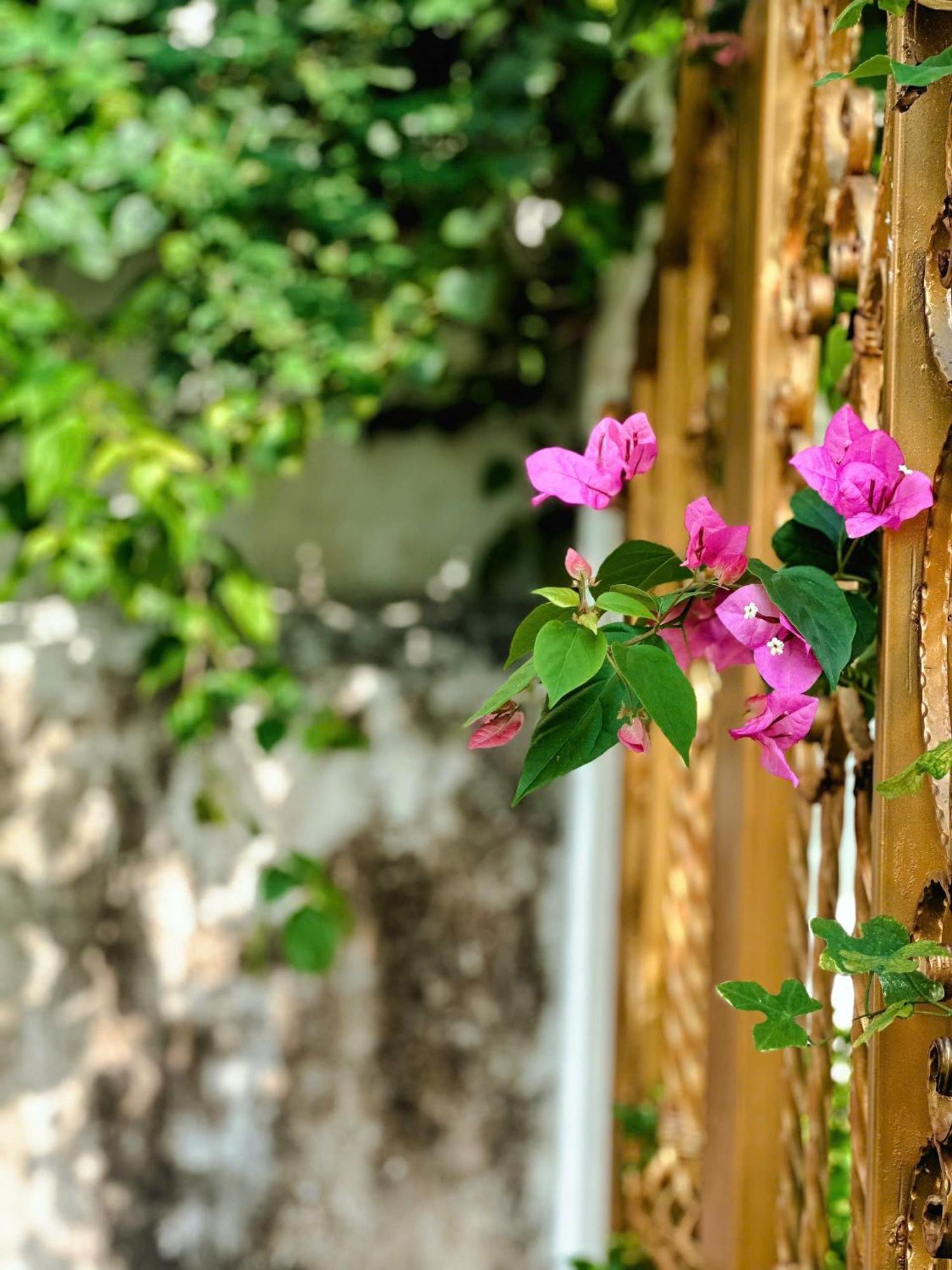 Blue Fish Villa Tan Thanh Exterior foto